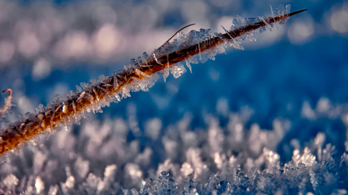 Фото: pxhere.com