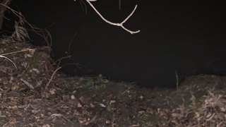 Фото: altai-krai.sledcom.ru