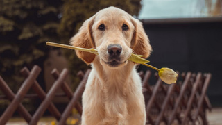 Фото: unsplash.com