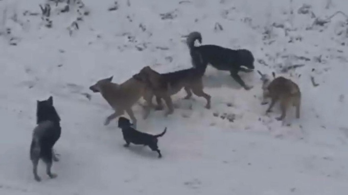 Фото: "В курсе 22"