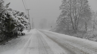 Фото: pxhere.com