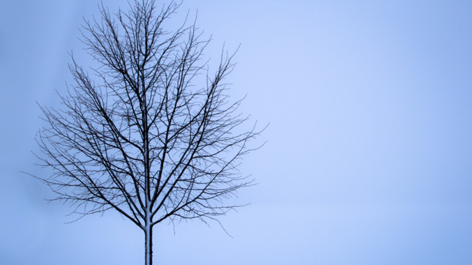 Фото: pxhere.com