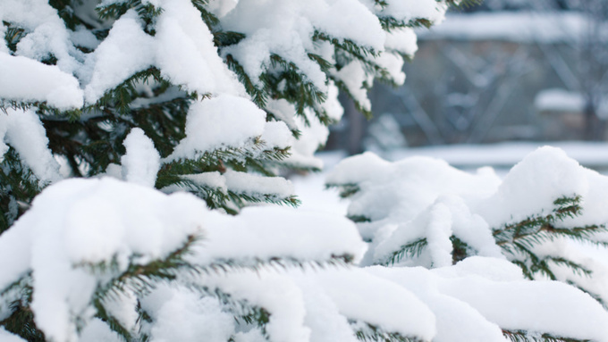 Фото: pxhere.com