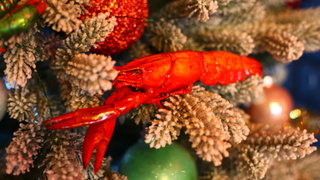 Раковарня "Где раки?" / Фото предоставлено компанией