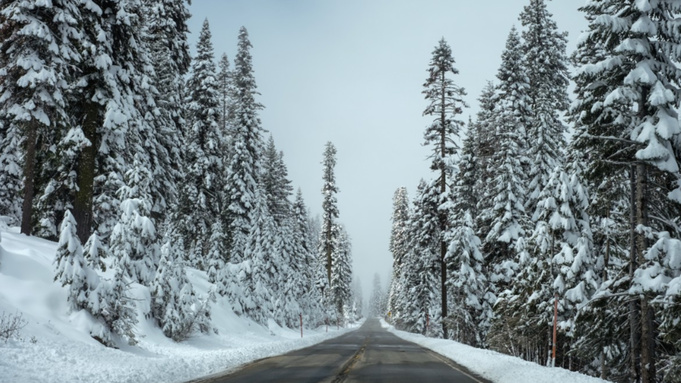 Фото: pxhere.com