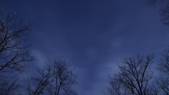 Фото: pxhere.com