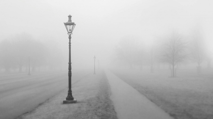 Фото: pxhere.com