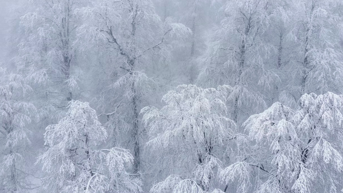 Фото: unsplash.com