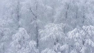 Фото: unsplash.com