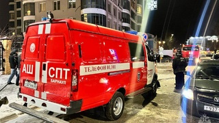 Фото: МЧС Алтайского края