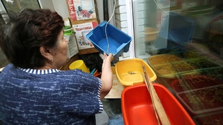 В доме протекает крыша /Фото из архива amic.ru 