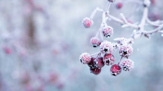 Фото: unsplash.com