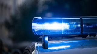 Фото: unsplash.com