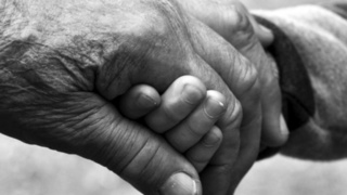 Фото: pxhere.com