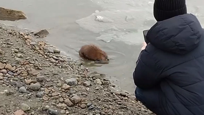 Фото: pxhere.com