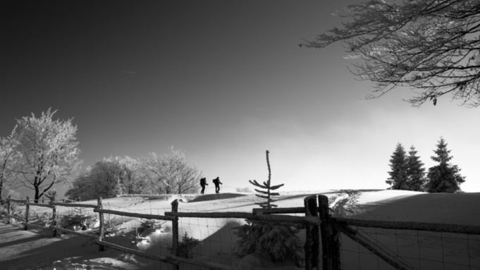 Фото: pxhere.com