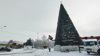 Новогодняя елка на площади Сахарова в Барнауле / Фото: amic.ru