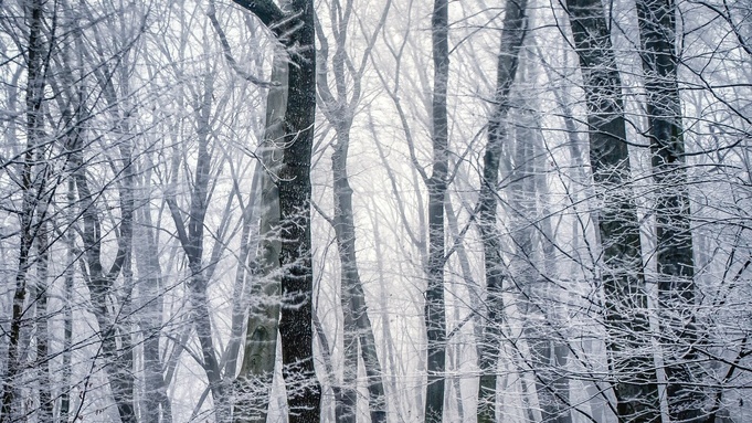 Фото: unsplash.com