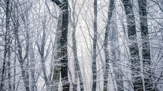 Фото: unsplash.com