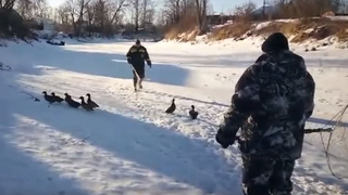 Кадр из видео