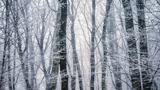 Фото: unsplash.com