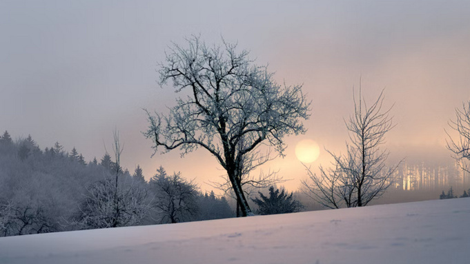 Фото: unsplash.com