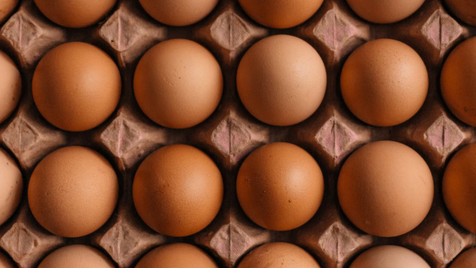 Фото: unsplash.com