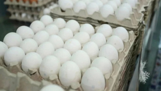 Яйца / Фото: amic.ru / Екатерина Смолихина