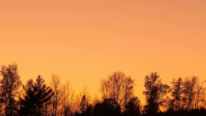 Фото: unsplash.com