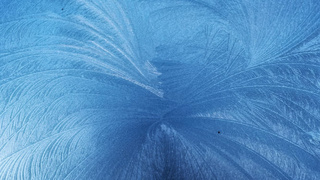 Фото: unsplash.com