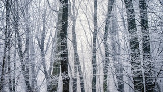 Фото: unsplash.com