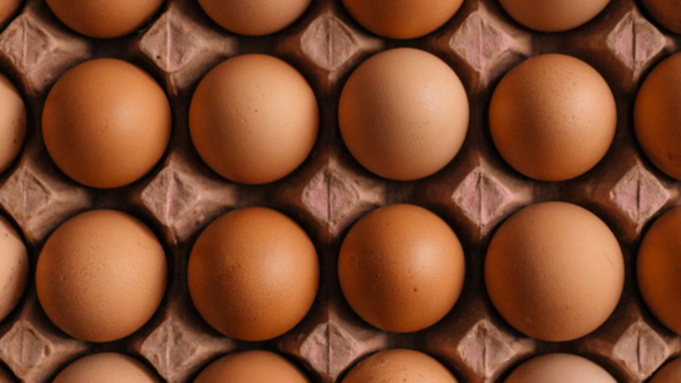 Фото: unsplash.com