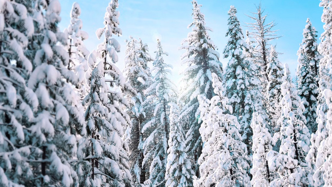 Фото: unsplash.com