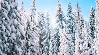 Фото: unsplash.com