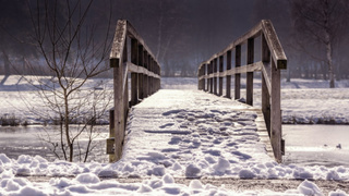 Фото: pxhere.com