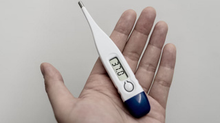 Фото: unsplash.com