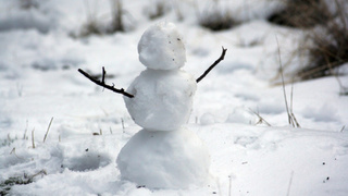 Фото: pxhere.com