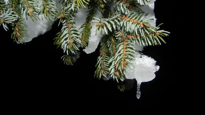 Фото: pxhere.com