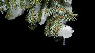 Фото: pxhere.com