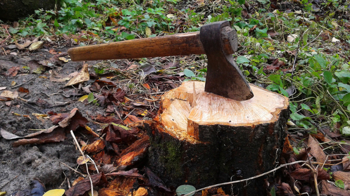 Фото: pxhere.com