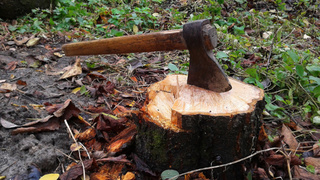 Фото: pxhere.com