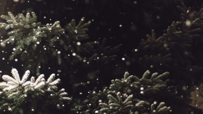 Фото: pxhere.com