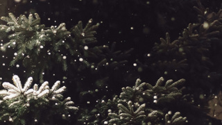 Фото: pxhere.com