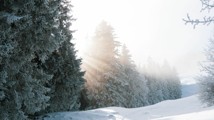 Фото: unsplash.com