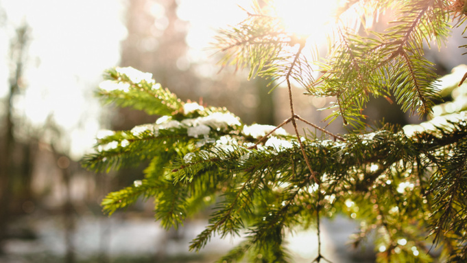 Фото: pxhere.com