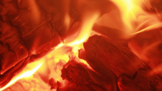 Фото: pxhere.com