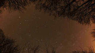 Фото: pxhere.com