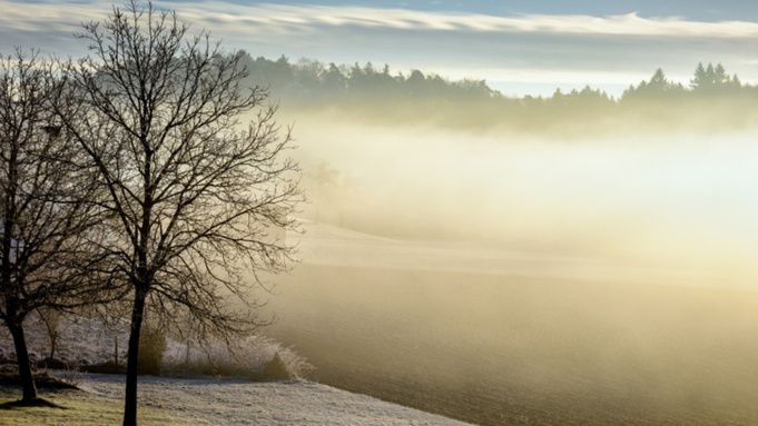 Фото: pxhere.com