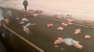 Фото: Вести Алтай/Алексей Леоненко.