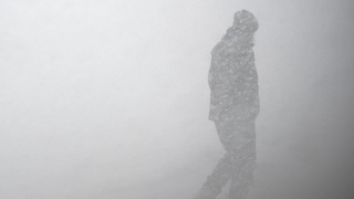 Фото: unsplash.com